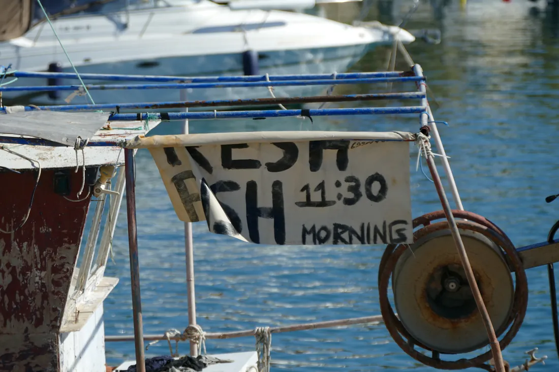 A hand-written sign on a fishing boat in Nikiti harbour reading fresh fish, 11:30 morning