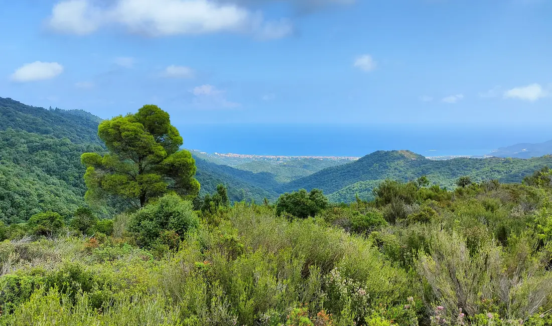 The view from the hills above Sarti over the bay, with the silhouette of Mount Athos on the horizon