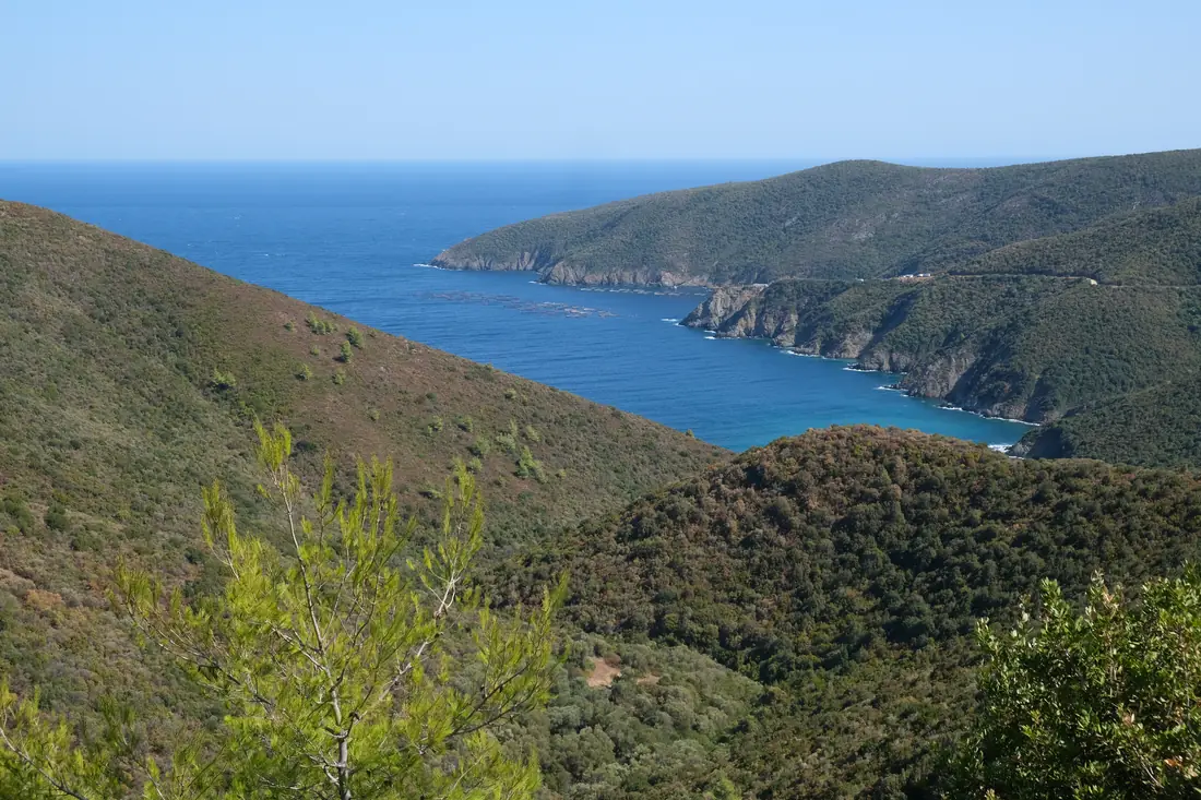 Wooded cliffs on the Sithonia coast above deep blue water, a headland behind
